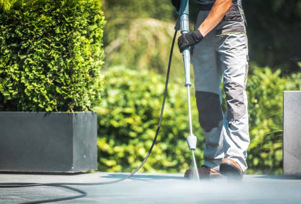 Best Building Exterior Pressure Washing in Gaylord, MN