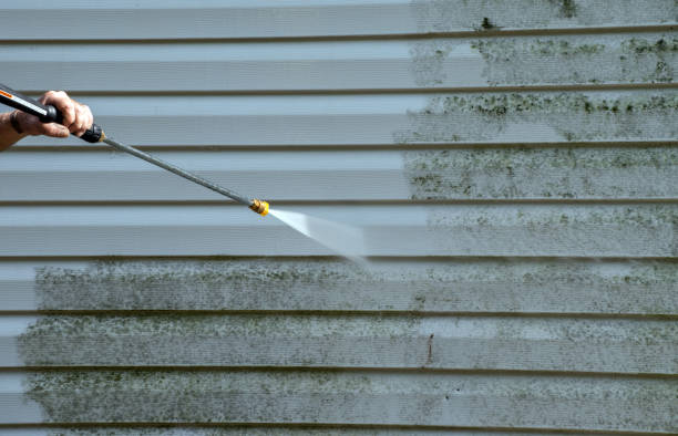 Best Rust and Stain Removal in Gaylord, MN